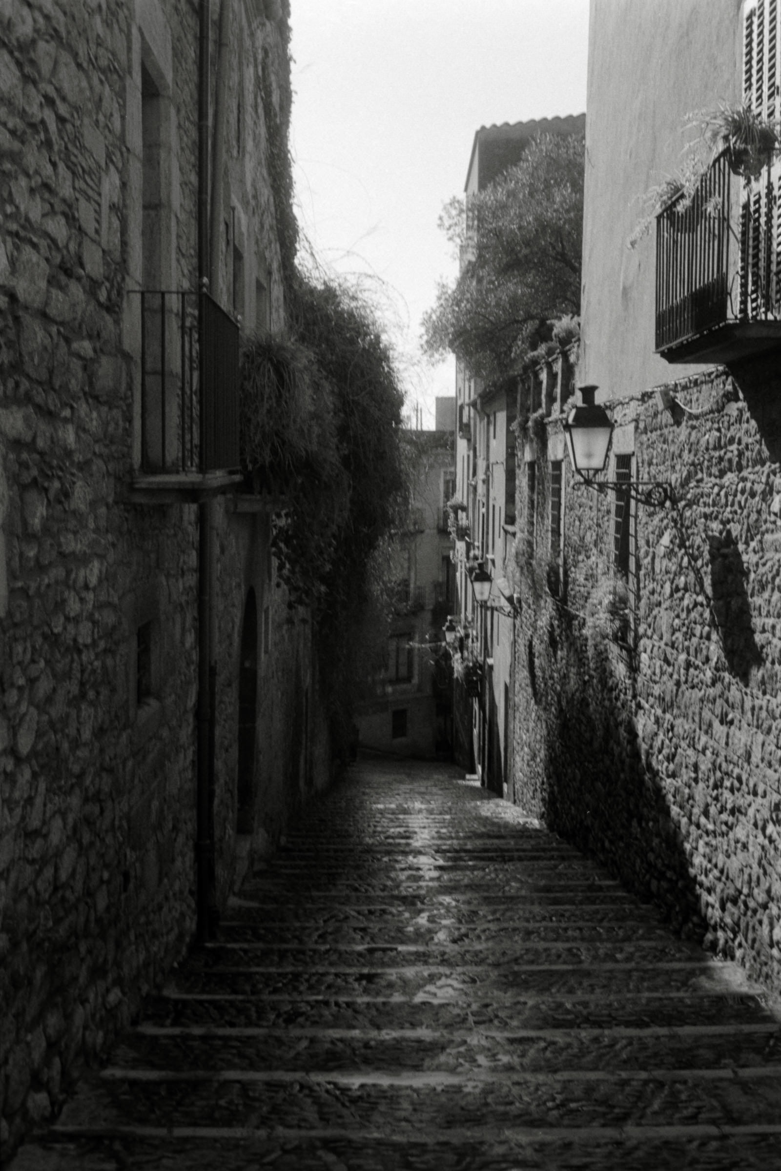 AHP F1996 02 001 sc240816 img21 NLP